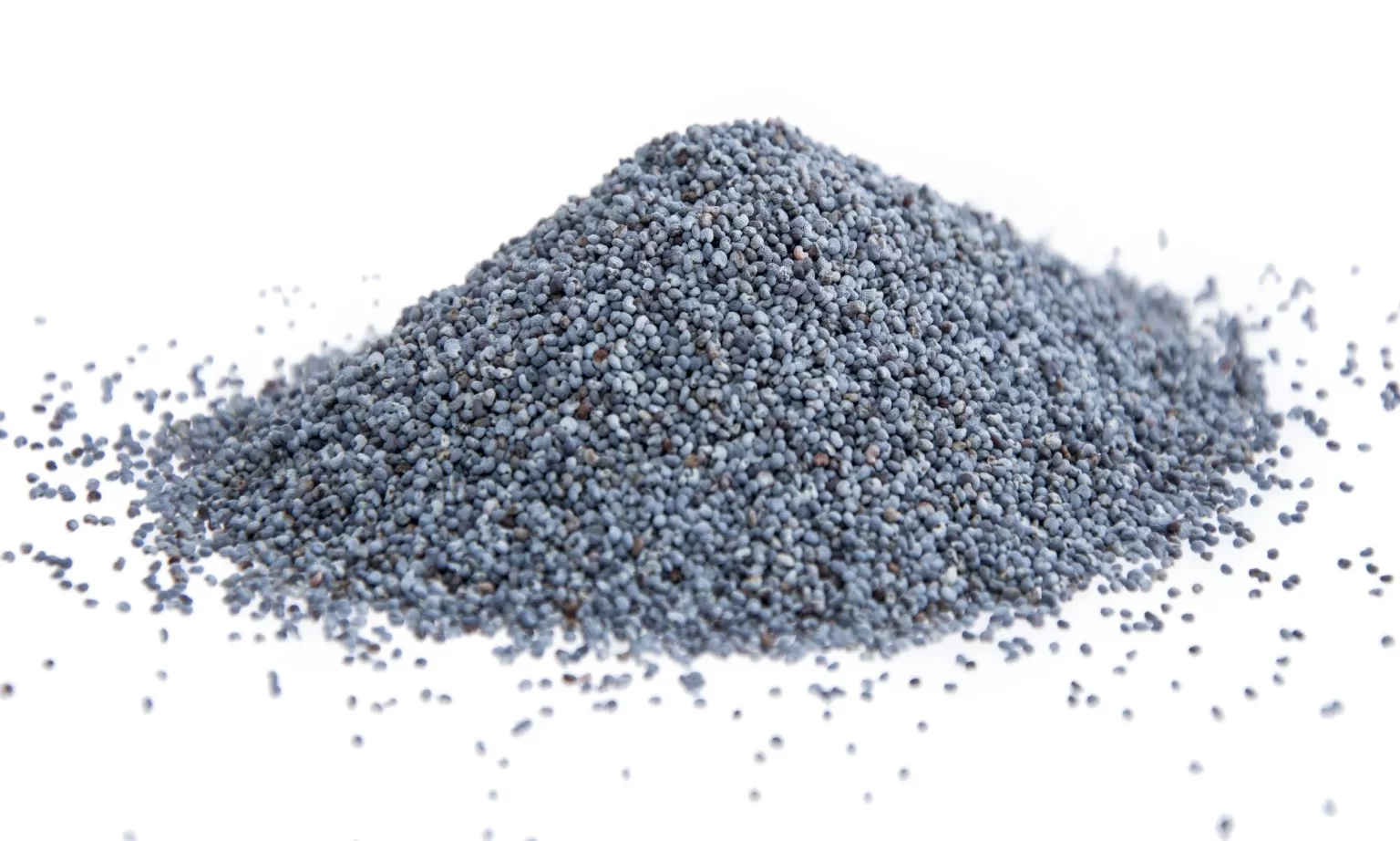 Blue Poppy Seed Blue Poppy Seed